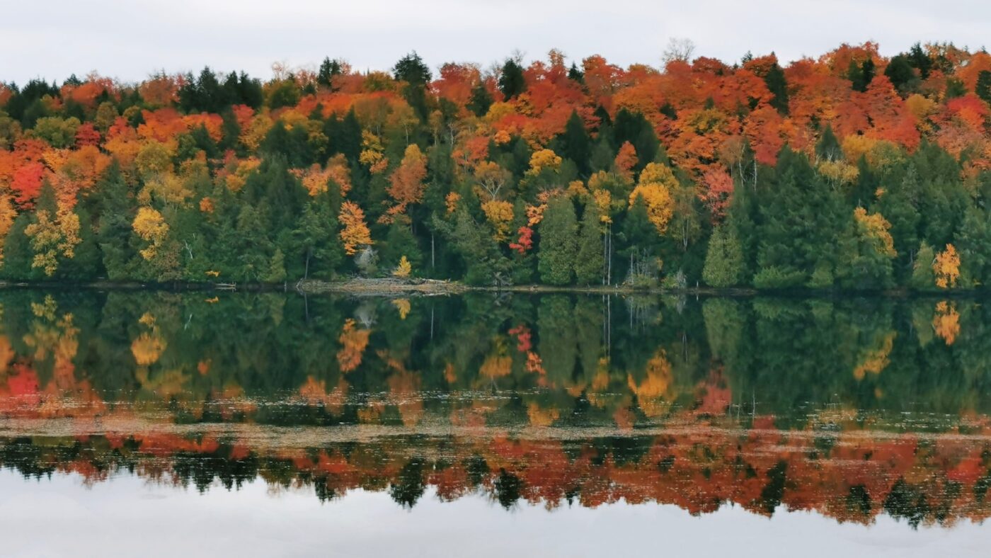 Ontario Canada Drug Rehab Center
