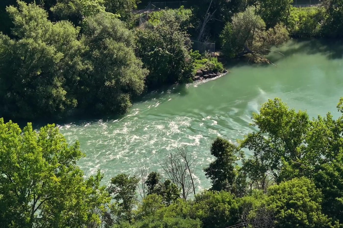 The Twelve Mile Creek running past the grounds, jade-green water between wooded banks