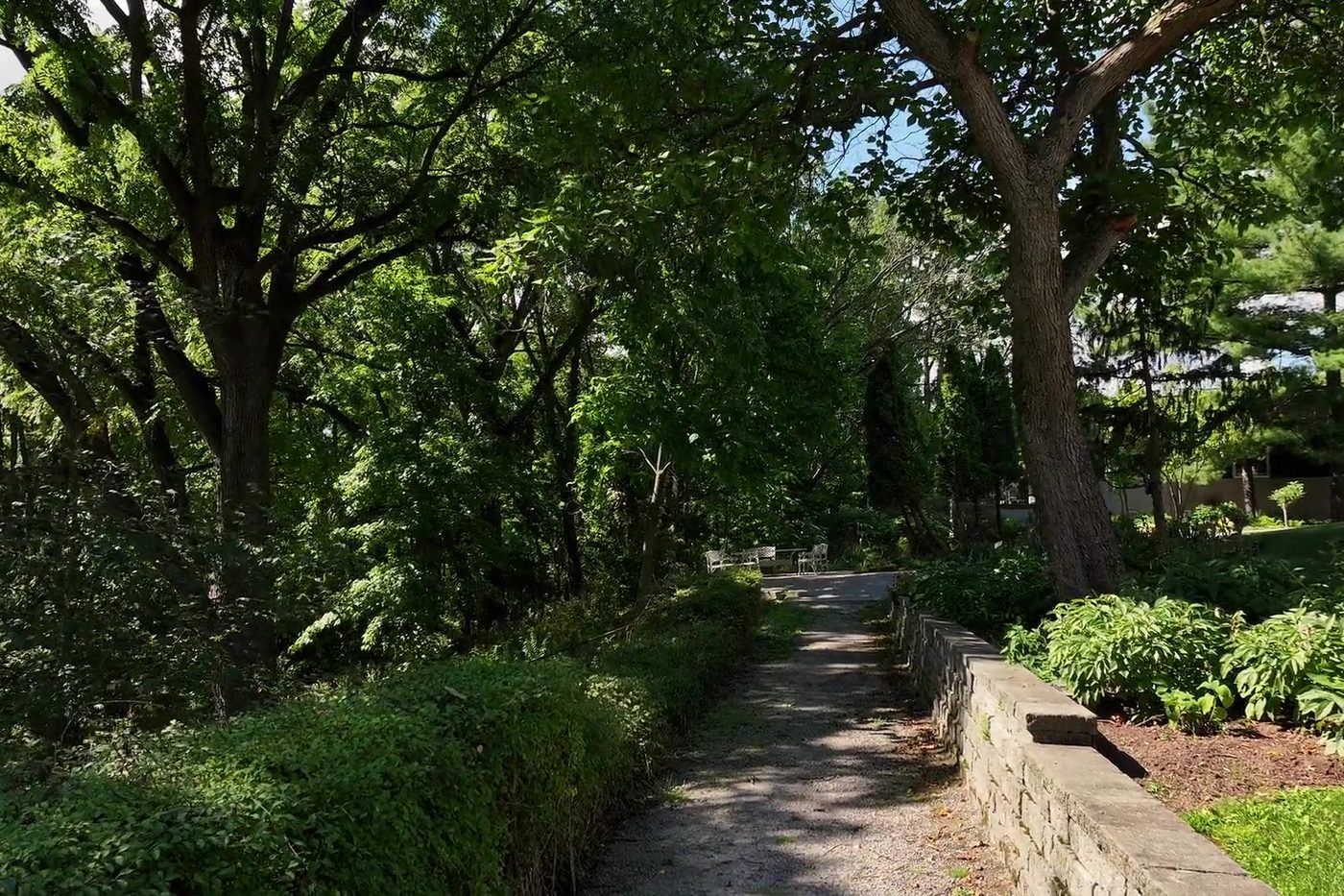 A garden walk with a low stone wall and planting beds beneath mature trees