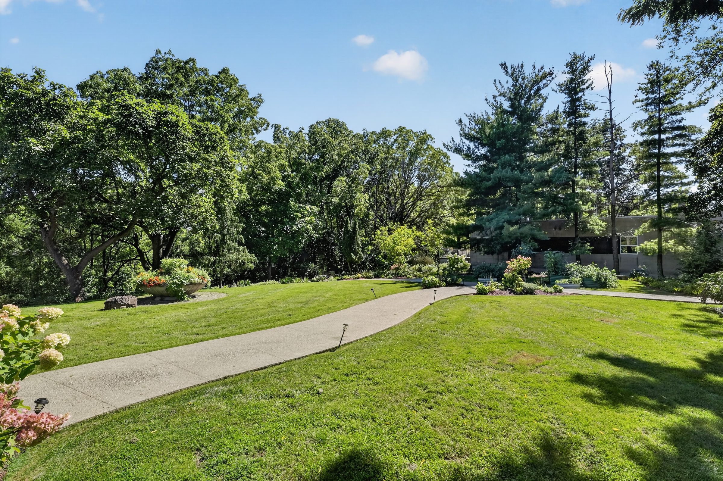 The lawn and the path to the door