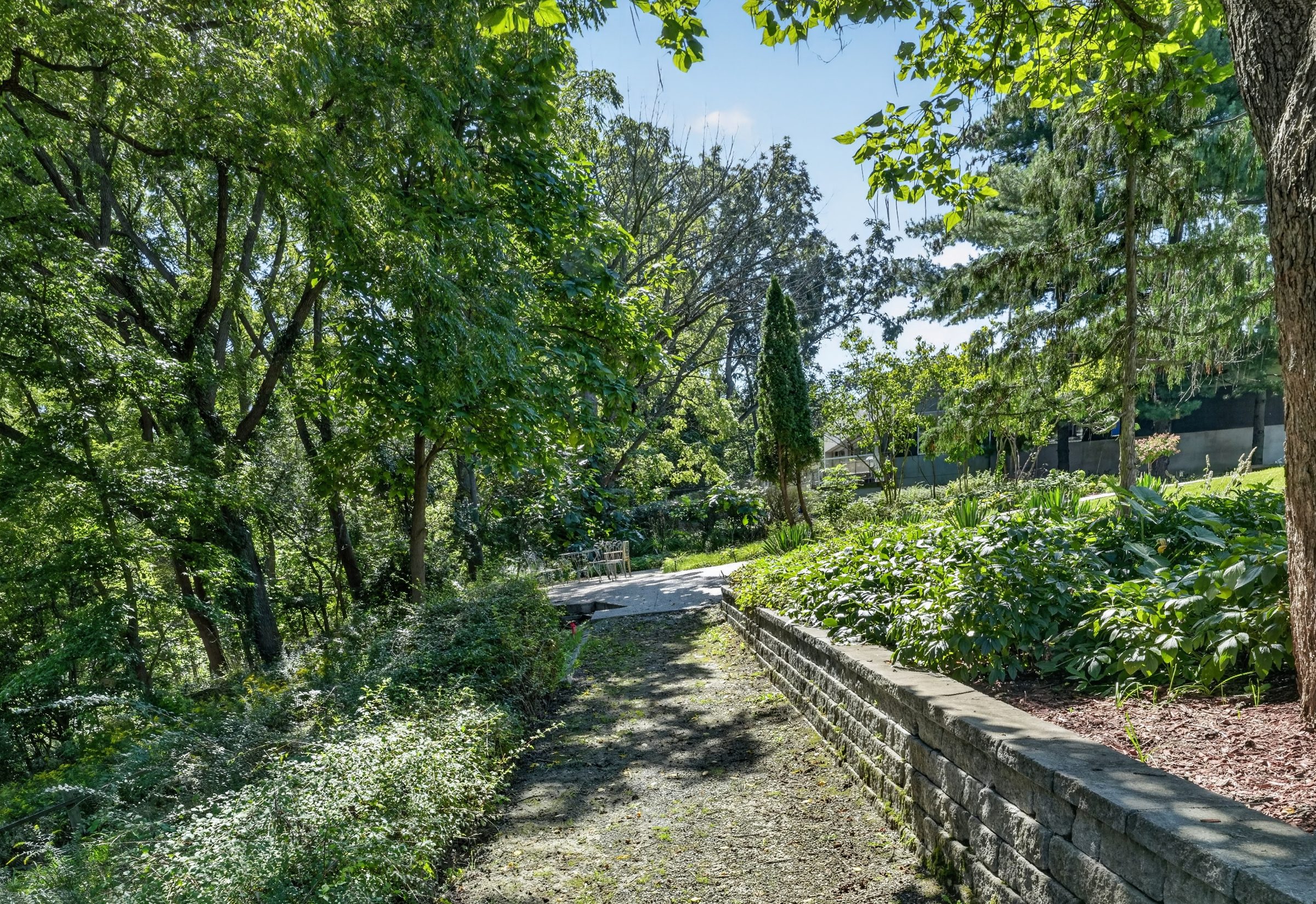 The creek path