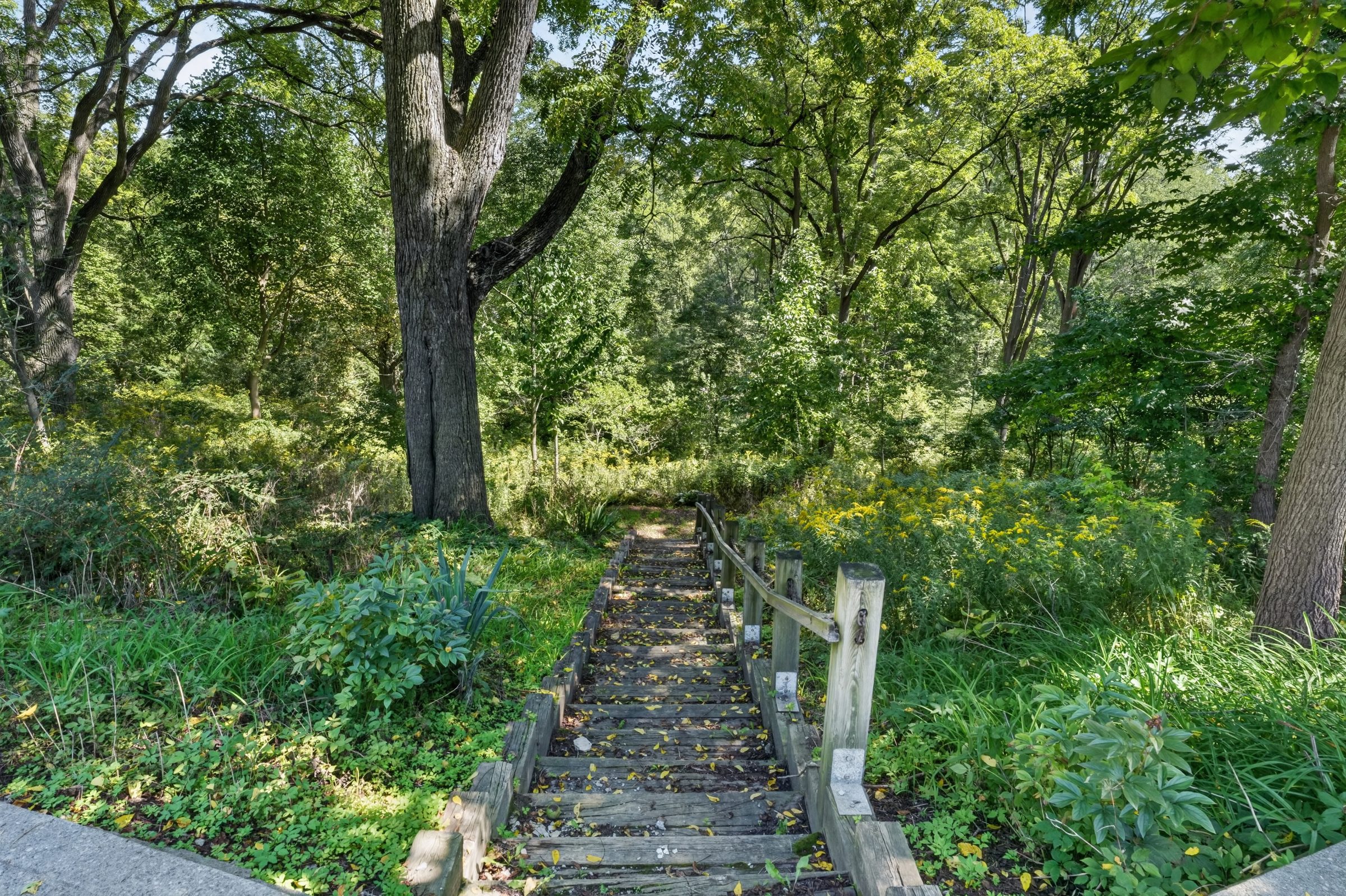 The steps down to the creek